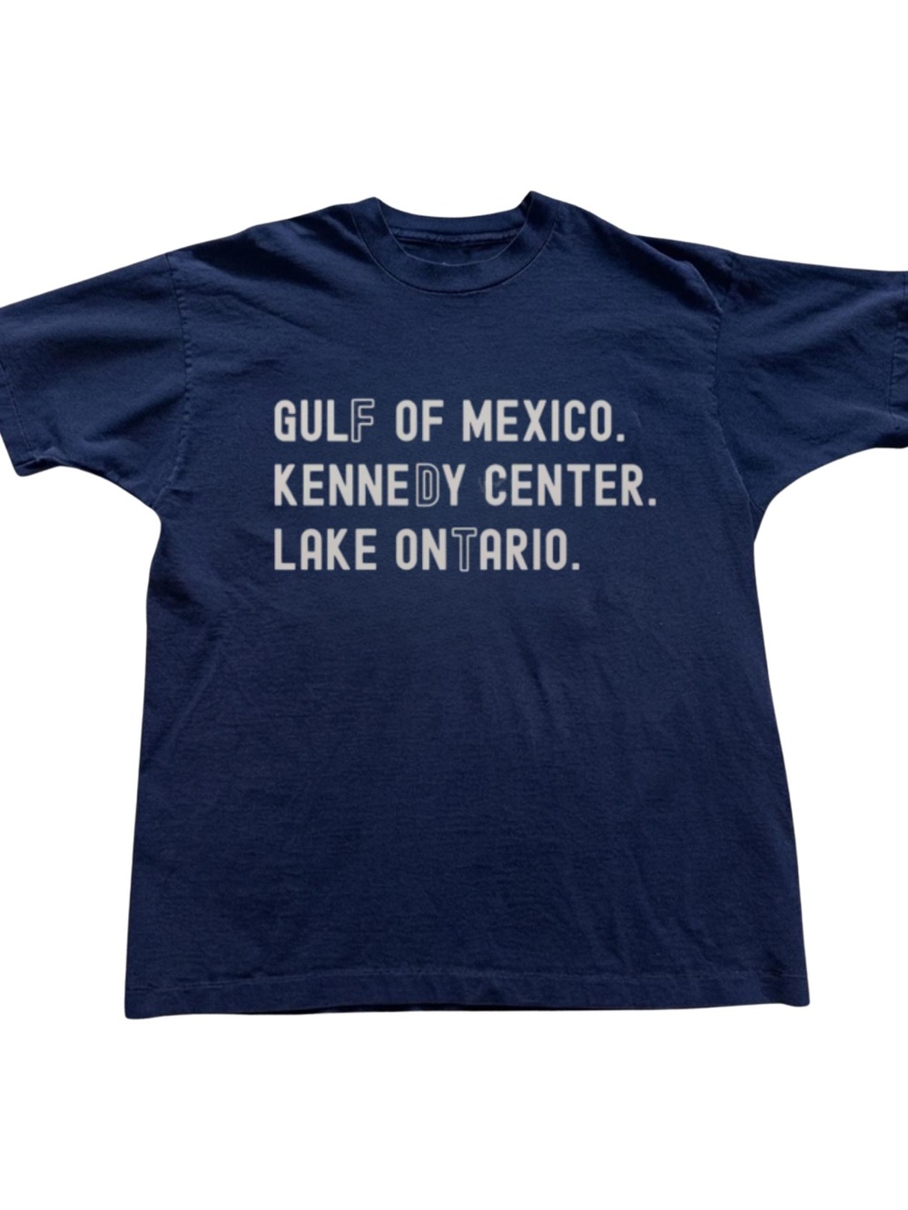 Gildan Navy Lake Ontario Graphic Tee